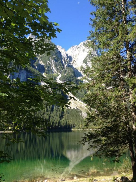Pension Edelweiss Appartement Wimmer Gosau Exterior photo